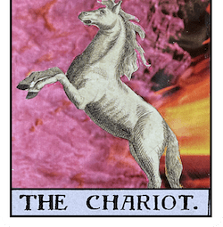 collage style Chariot tarot card with rearing horse and abstract background