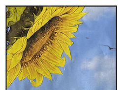 collage style Sun tarot card with sunflower against blue sky